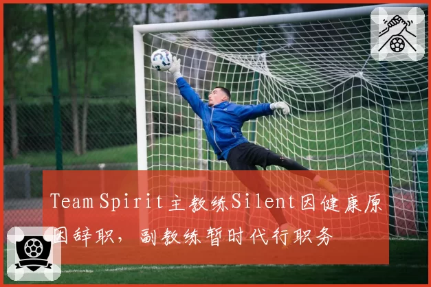 Team Spirit主教练Silent因健康原因辞职，副教练暂时代行职务