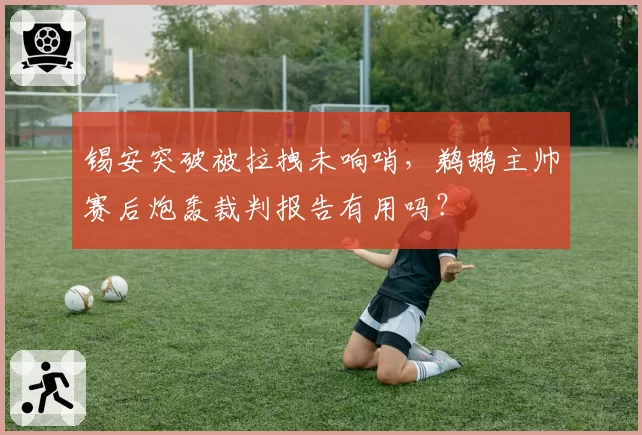锡安突破被拉拽未响哨，鹈鹕主帅赛后炮轰裁判报告有用吗？